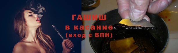 сатива Кодинск
